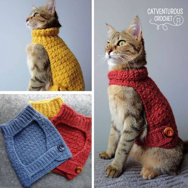 aprende hacer hermoso suéter para tu gato